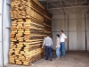 beech-loaded-in-kiln