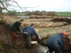 sycamore-log-inspection