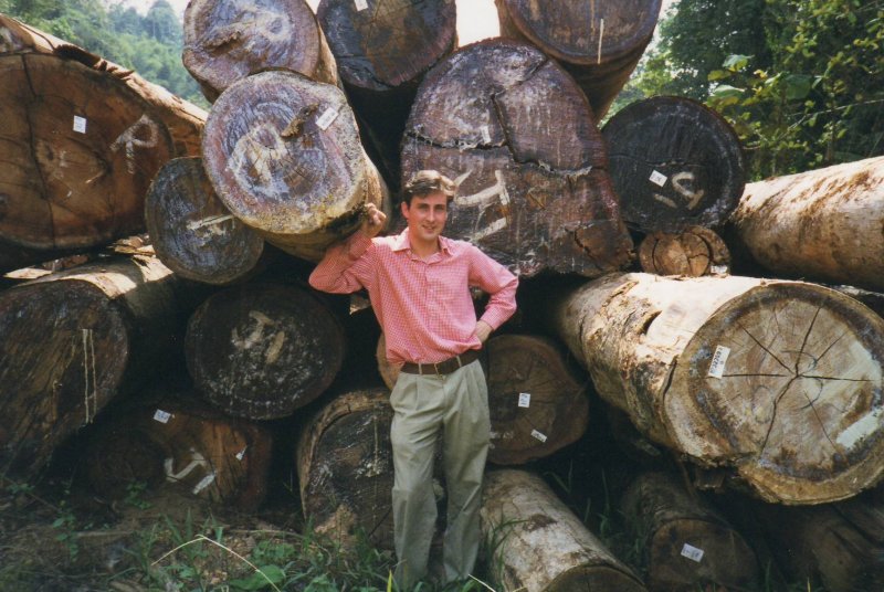VENEER LOGS – Veneer Logs Shipped Worldwide!