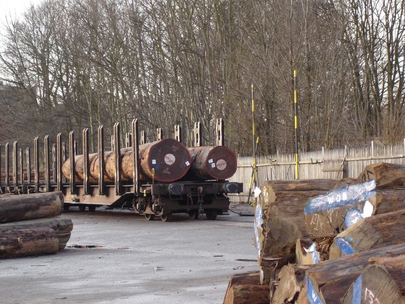 VENEER LOGS – Veneer Logs Shipped Worldwide!