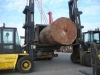 loading-a-large-log