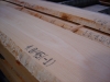 white-beech-lumber-electonically-measured