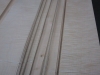 sycamore-veneer
